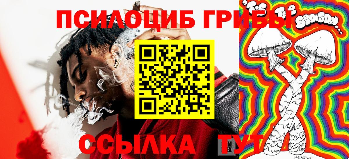 Псилоцибиновые грибы Psilocybine cubensis Соль-Илецк