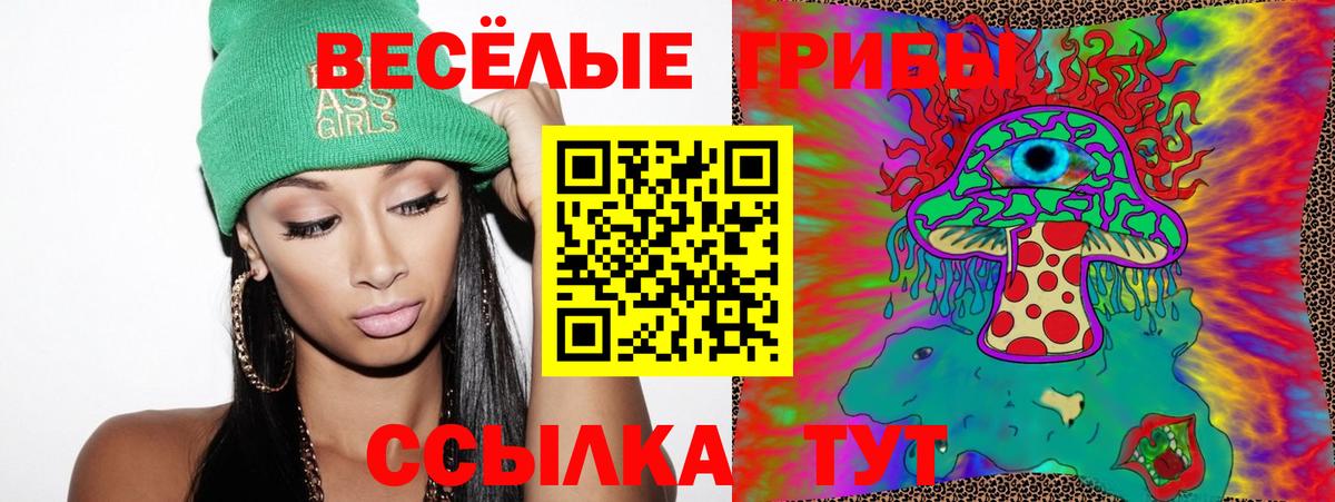 где купить наркоту  Вход с VPN  Соль-Илецк  Галлюциногенные грибы Psilocybe 